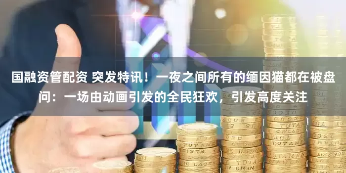 国融资管配资 突发特讯!一夜之间所有的缅因猫都在被盘问:一场由动画引发的全民狂欢,引发高度关注